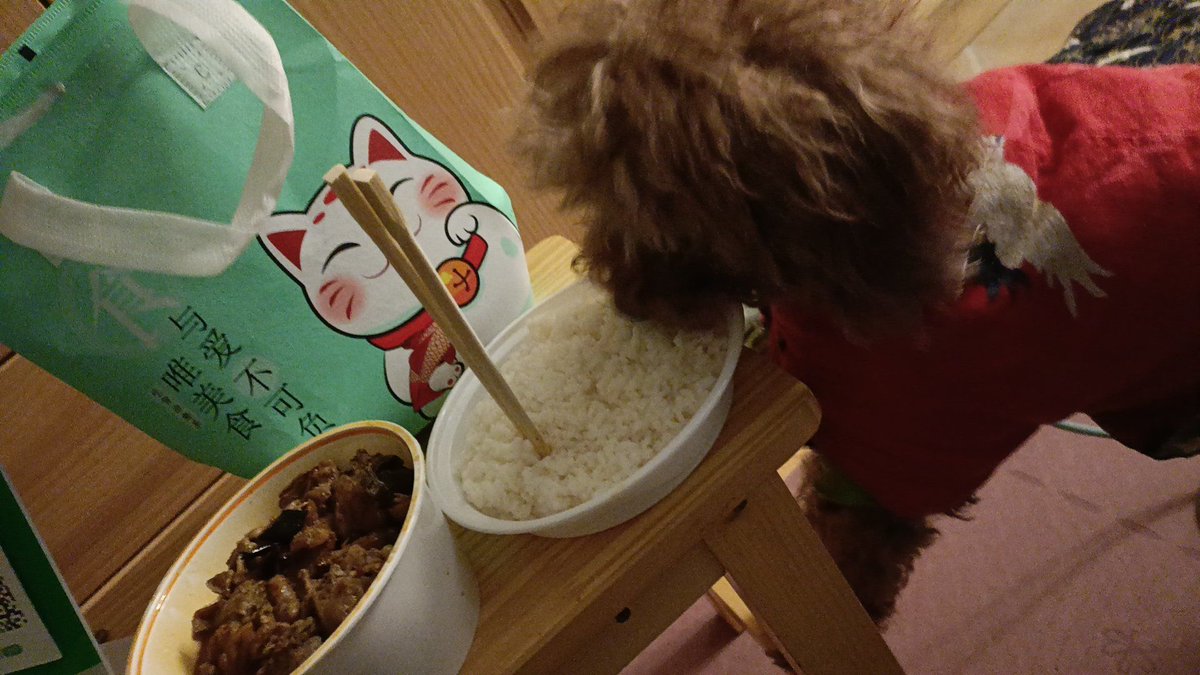 NealDwight's tweet photo. [From eating instant noodles every night to cooking fresh veggies u0026 rice with my roommate – small changes that made every day feel brighter! ]， https://t.co/OOM1VBAwdd