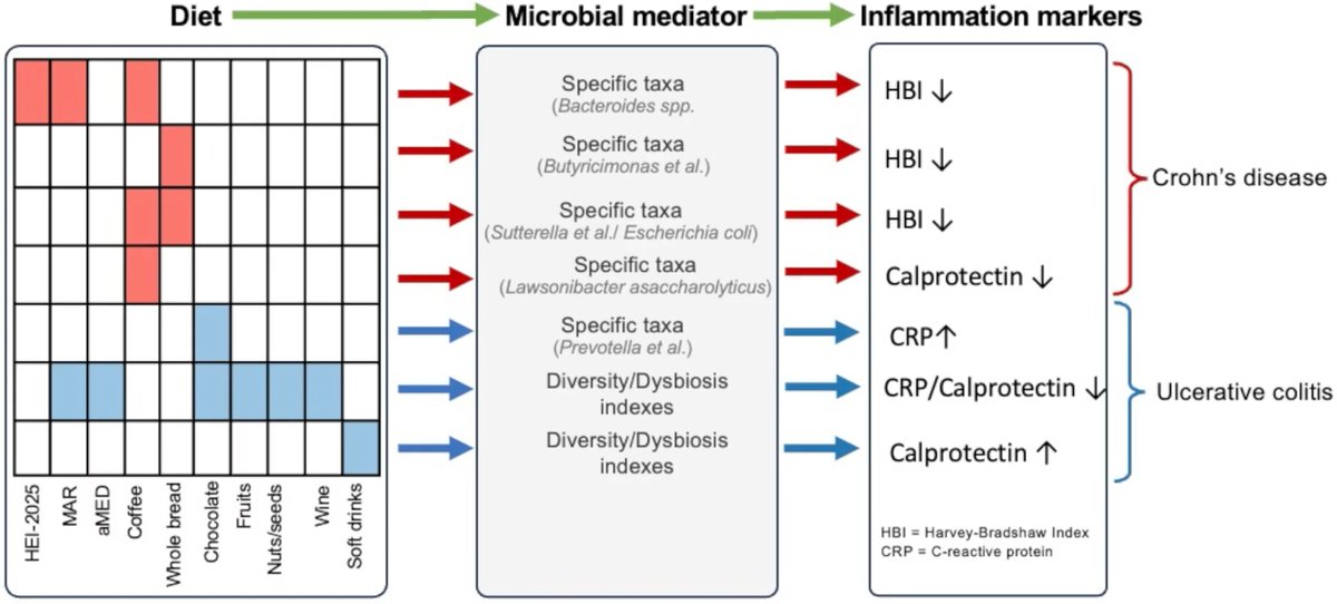 Gut_BMJ's tweet photo. NEW #GUTVideo by Dr Chaysavanh Manichanh on the paper by Mayorga et al entitled

"Distinct microbial mediators link diet to inflammation in Crohn’s disease and ulcerative colitis" via

https://t.co/iLPMNhIZ9S

Access the paper via:

https://t.co/roRpmfC6Zb

#Microbiome #IBD #UC #CrohnsDisease