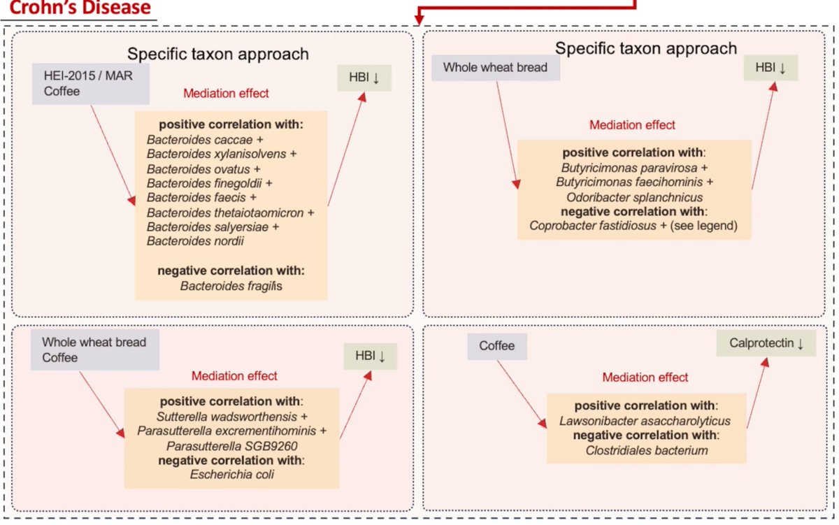 Gut_BMJ's tweet photo. NEW #GUTVideo by Dr Chaysavanh Manichanh on the paper by Mayorga et al entitled

"Distinct microbial mediators link diet to inflammation in Crohn’s disease and ulcerative colitis" via

https://t.co/iLPMNhIZ9S

Access the paper via:

https://t.co/roRpmfC6Zb

#Microbiome #IBD #UC #CrohnsDisease