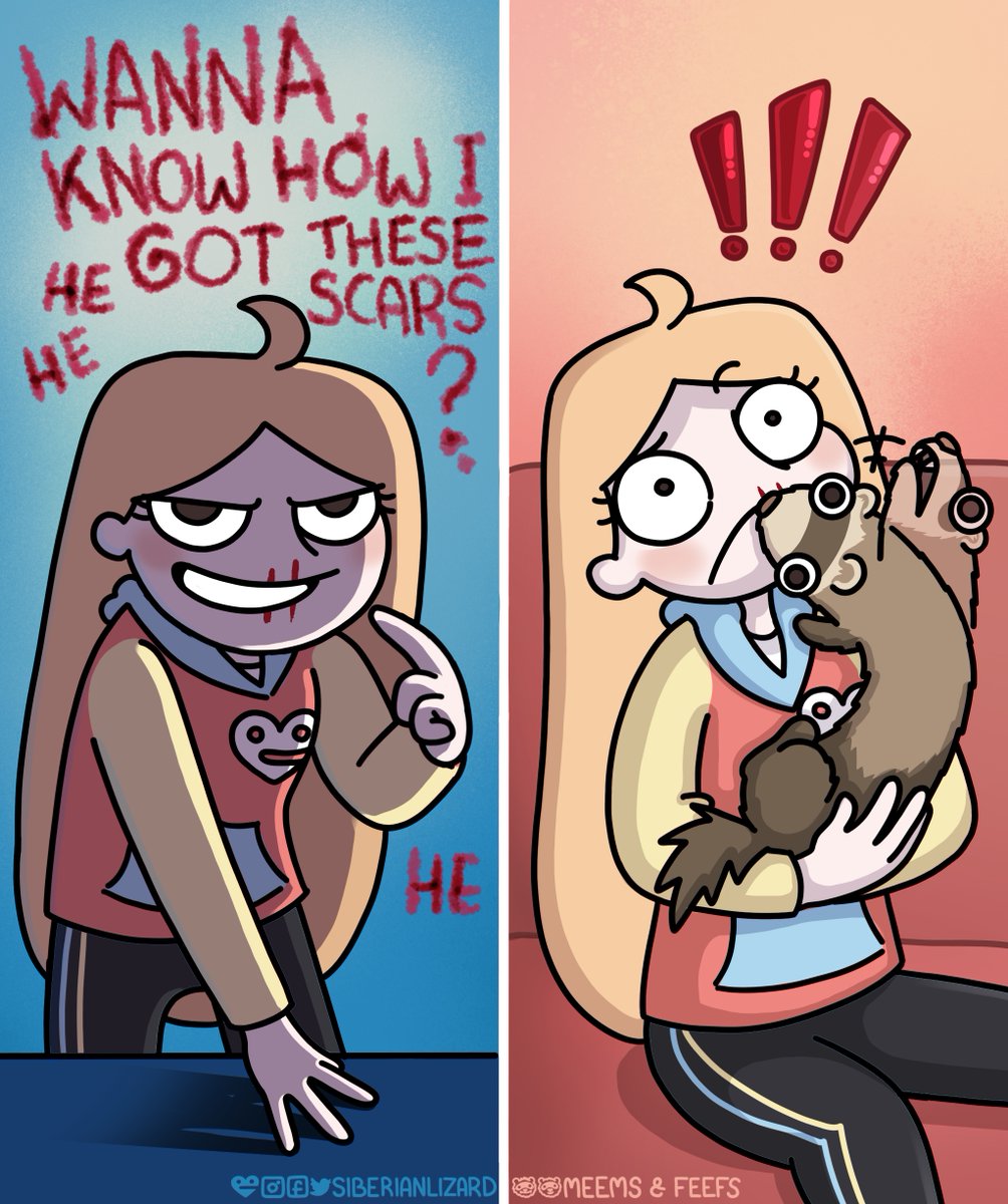 siberianlizard's tweet photo. This is my villain origin story... Do you have any pet scars? Apart form the ones they leave on your hearts 🥹 ❤️‍🔥 #ferret #comic https://t.co/jnS1Jzlaad