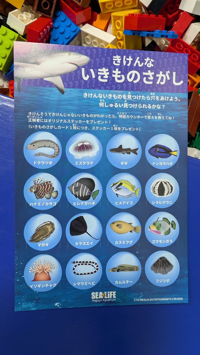 0937_4998's tweet photo. #2026年6月20日 に #名古屋シーライフ水族館 で撮影した写真や動画。
周囲の会話を録音してしまった動画には音声消しゴムマジックを使用して会話を消した。

・受付カウンターでもらった紙。「きけんないきものさがし」。

・水槽の中にあるシャークガイのミニフィグ。
(続く　1/26) https://t.co/Y27zf3dfvX