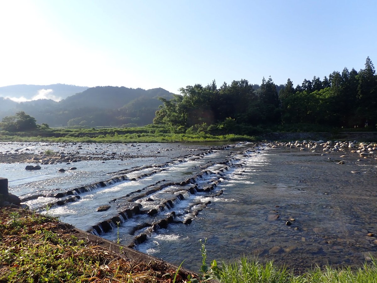 takek10d's tweet photo. 山形県に行ったので、釣りもしてきました。
山形まで来て、ヤマメ1匹です。
2026.6.29
#ヤマメ https://t.co/3FLimyNtwI