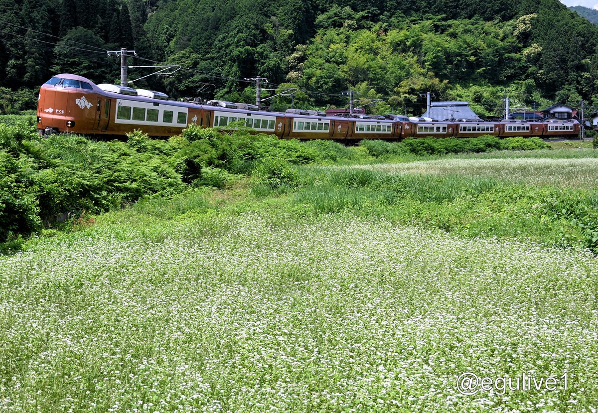 egulive1's tweet photo. #6月を写真４枚で振り返る https://t.co/tU7Cl0maWK
