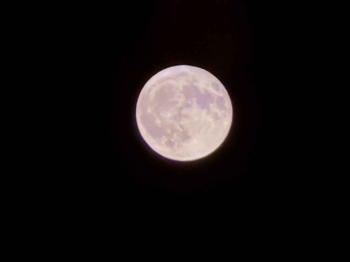 spirits0211's tweet photo. 2026年6月30日（火）
福島市北西部からのストロベリームーン🌕です。
#福島市北西部
#ストロベリームーン https://t.co/n4WqAwPYm2