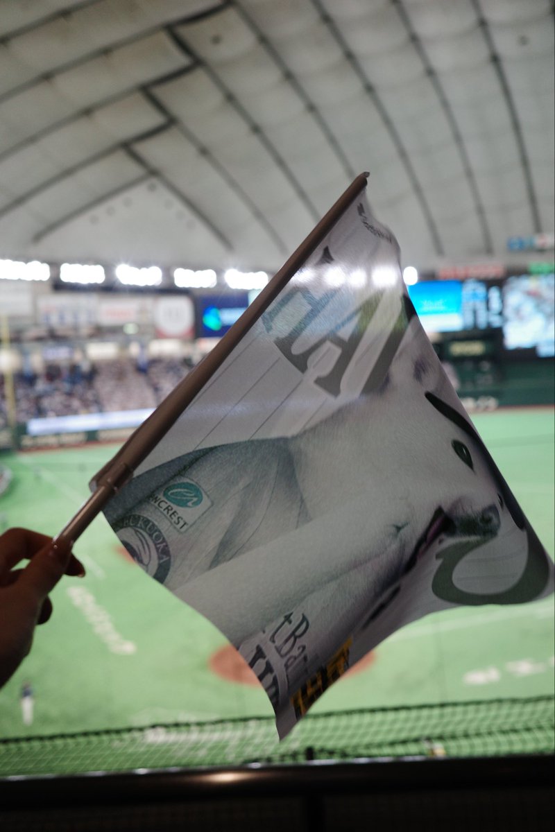 asuka_kijima's tweet photo. #鷹祭SUMMERBOOST in 東京ドーム

6-0でホークスが勝利！！そして首位浮上✨
マネージャーさんたちと最後まで大興奮しながら応援していました！
おめでとうございます！今日見た景色で明日からも頑張れます。

始球式、貴重な経験をありがとうございました！ https://t.co/HZBZeGEaW9