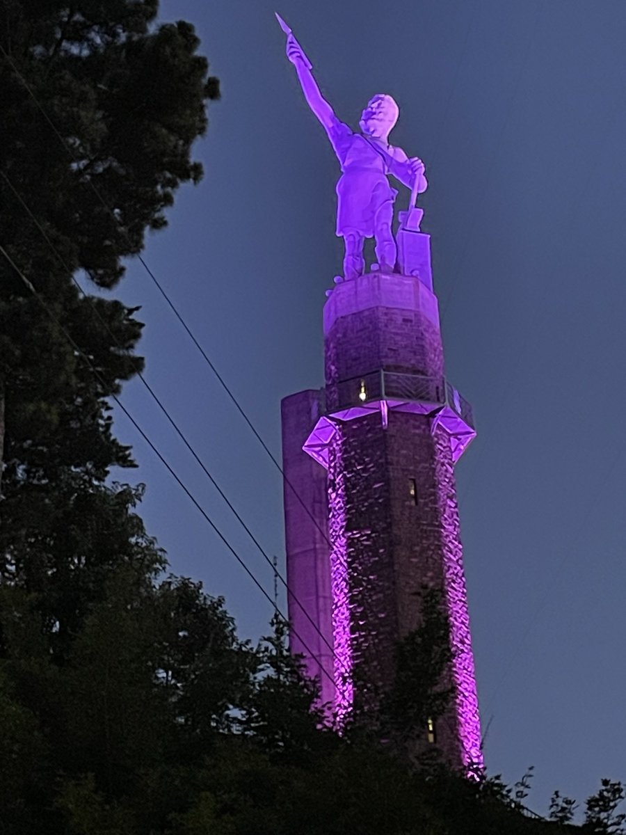migrainedaygirl's tweet photo. #Vulcan, purple is very becoming on you! #MHAM #chronicmigraine #awareness @WBRCnews https://t.co/2grTeQXosE