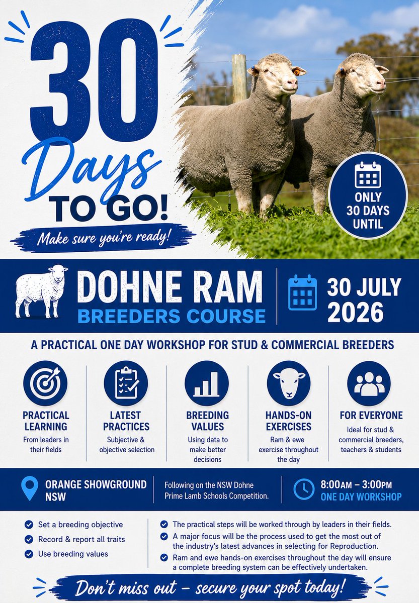 DohneAus's tweet photo. **β° Only 30 Days to Go!**
The countdown is on for the **2026 Dohne Ram Breeders Course**!
π
Thursday, 30 July 2026
π Orange Showground, NSW
#DohneMerino #Dohne #SheepBreeding #AgEducation #30DaysToGo #OrangeNSW #MLA #AWI #sheep https://t.co/XFzv7ILj8f