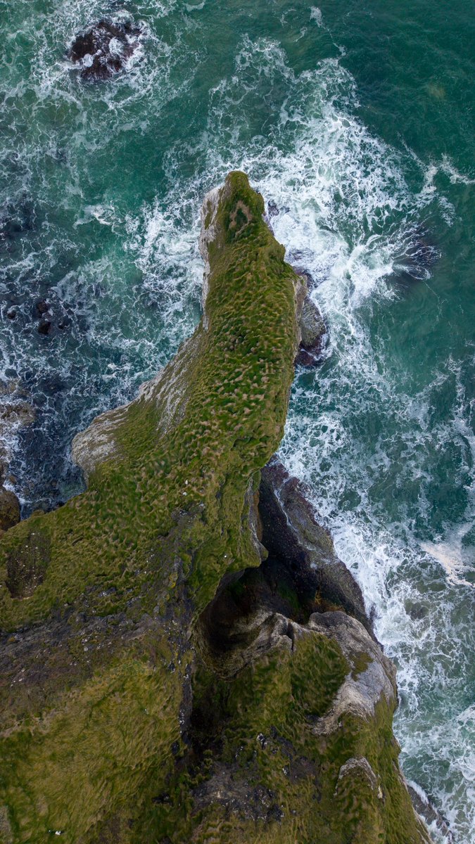 dailyoxygenpuff's tweet photo. @DJIGlobal https://t.co/DeQ8MqODUr