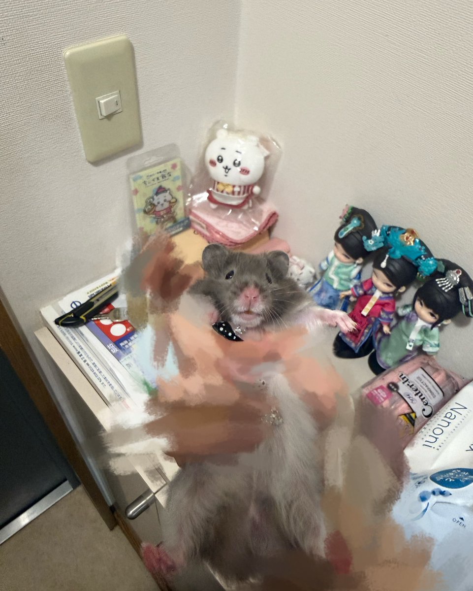 Morose411's tweet photo. 这大肥耗子咋这么萌啊啊啊啊啊啊 https://t.co/kF35UFf0UN