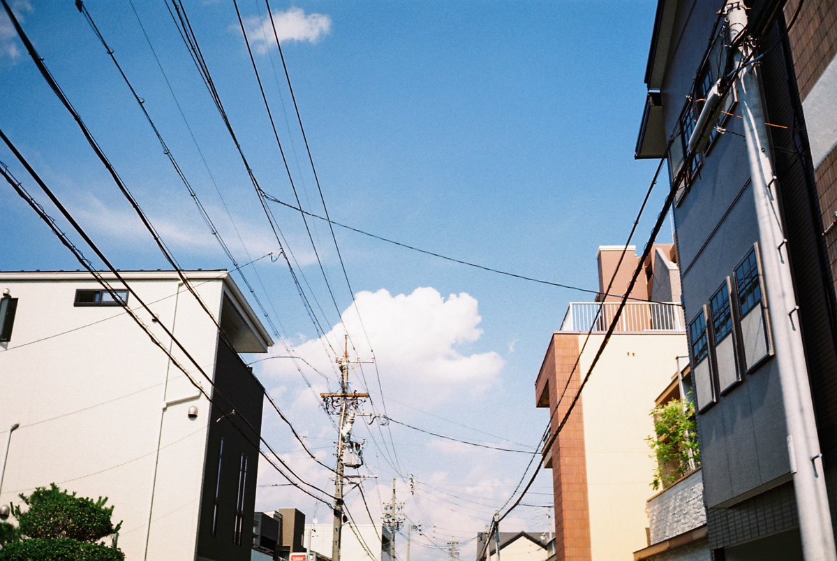 souvenir878's tweet photo. 寂しさを否定しない。
誰かで埋め合わせようとしない。
穴が空いたまま、その心で立つ。
写真を支えに、一歩ずつ歩く。
依りかからず、共に進め。 https://t.co/Wh2UWit4fl