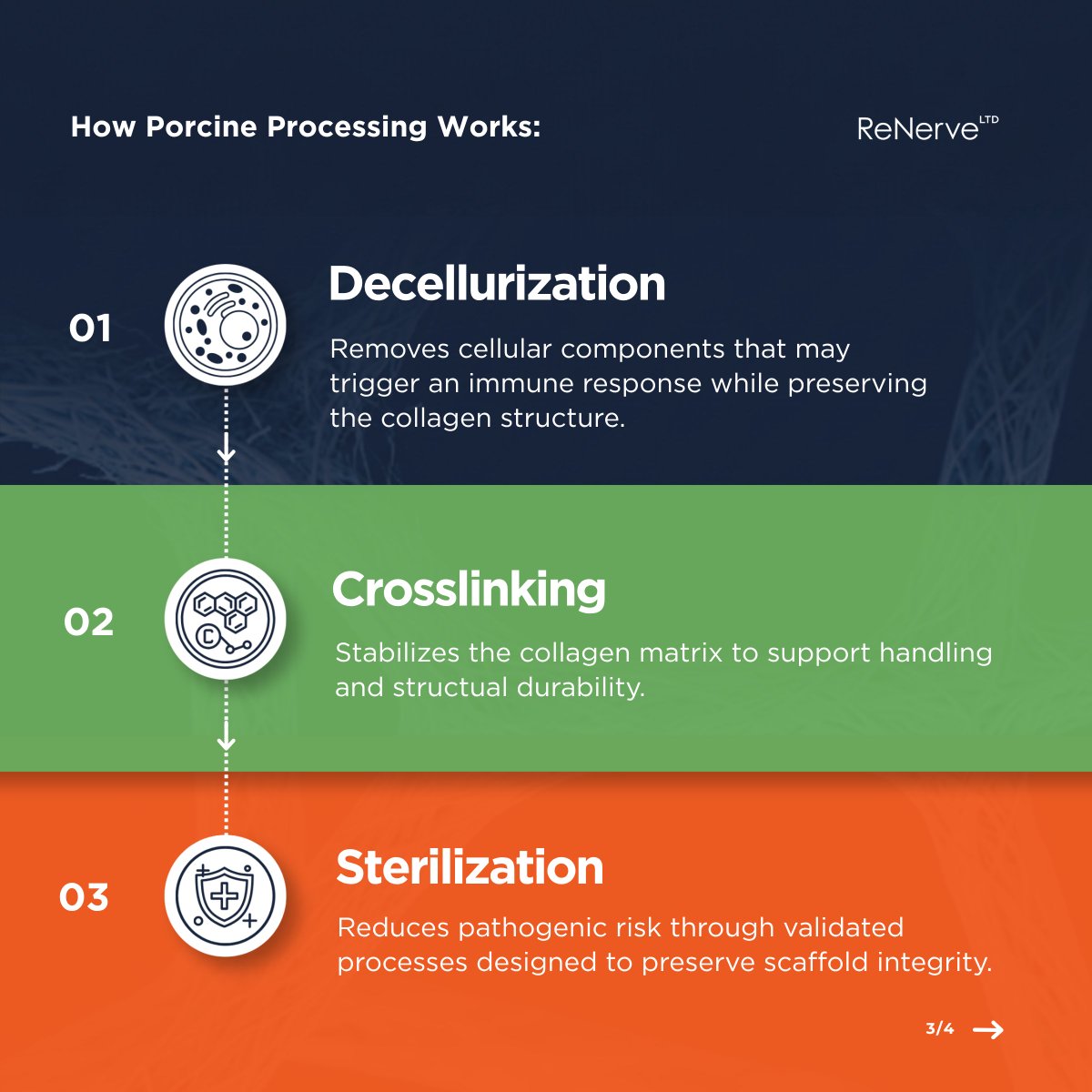 ReNerveLtd's tweet photo. Not all biomaterials are created equal. Decellularization, crosslinking and sterilization help transform porcine-derived tissue into a biocompatible scaffold designed to support tissue integration and remodeling. 

At ReNerve, biomaterials are at the core of our product development programs focused on peripheral nerve repair and related surgical applications.

$RNV #ReNerve #ASXRNV #Empliq #MedicalDevices #Healthcare #Biotechnology #Biologics #MedTech