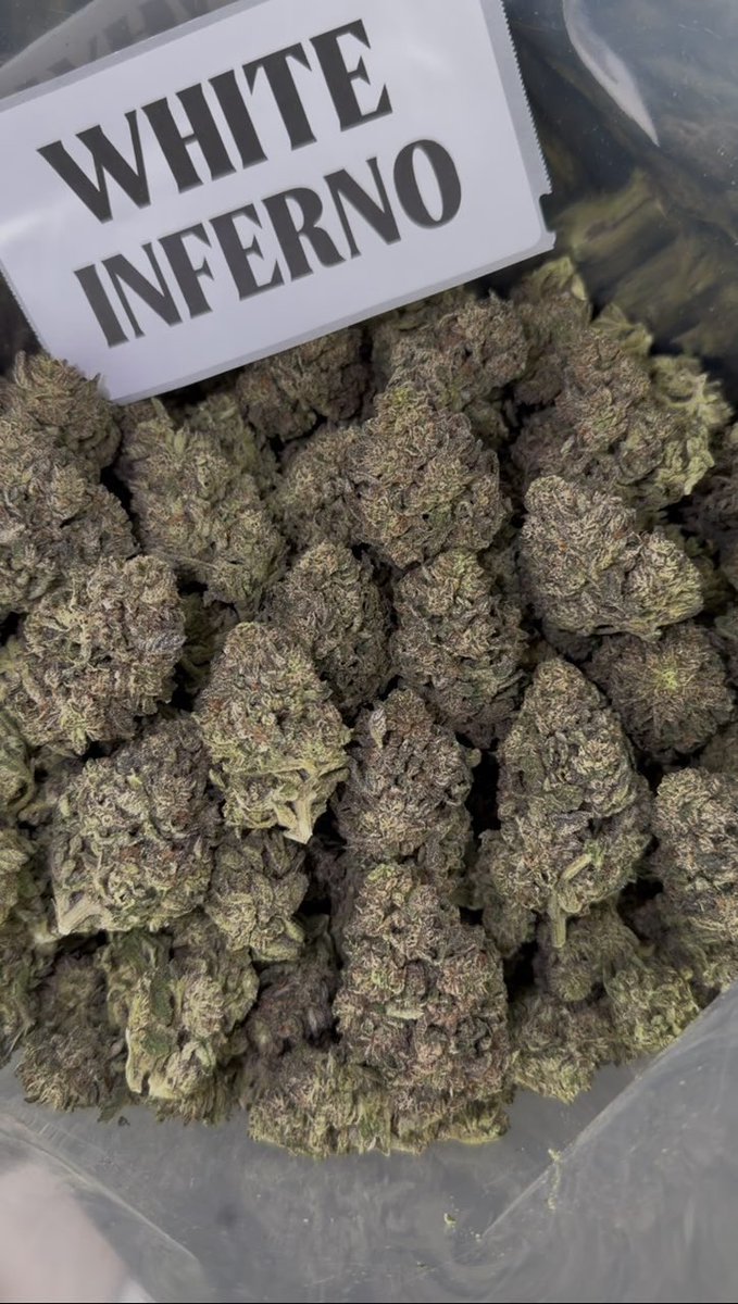 FlyHighweed tweet picture
