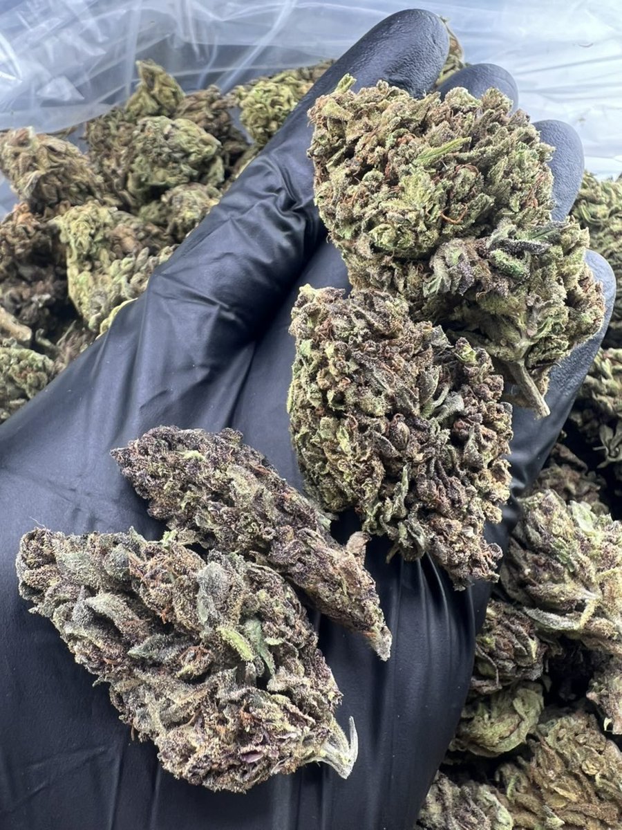 FlyHighweed tweet picture