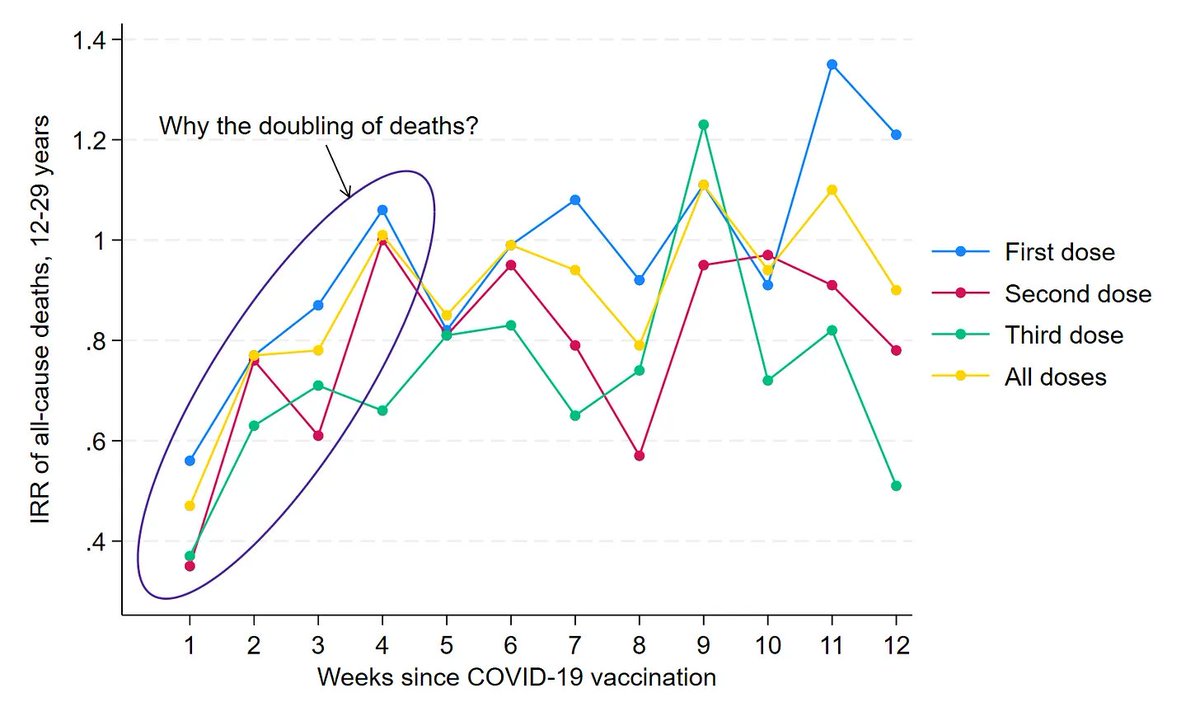 JarleAarstad's tweet photo. Hvorfor dobling i dødsfall blant unge i England (12–29 år) etter COVID-19-vaksinasjon?

Forklaringen med «healthy vaccine bias» er problematisk.

Offisielle data fra det britiske statistikkbyrået viser en kraftig økning – omtrent en dobling – i totaldødelighet blant unge i alderen 12–29 år i ukene etter hver dose av COVID-19-vaksinen (se grafen). Flere studier har vist lignende resultater, som gir grunn til å stille følgende spørsmål:

Hvorfor den sterke økningen?

Teoretisk kunne man anta en kortvarig vaksineeffekt, men det er usannsynlig at vaksinen skal forebygge dødelighet innenfor et så smalt tidsvindu. Dessuten utgjorde dødsfall «på grunn av» eller med COVID-19 bare en brøkdel av de totale dødsfallene i denne aldersgruppen etter vaksinerulleringen, noe som gjør forklaringen usannsynlig.

En annen forklaring er «healthy vaccine bias» (HVB) eller «healthy vaccine effect». Dette betyr at helseprofilen blant de vaksinerte generelt er bedre enn blant de uvaksinerte; derfor har den første gruppen generelt lavere dødelighet, ikke på grunn av en vaksineeffekt, men på grunn av bedre helse i utgangspunktet. I den totale befolkningen, som inkluderer en blanding av vaksinerte og uvaksinerte, vil den gjennomsnittlige helsen derfor i utgangspunktet være lavere enn blant kun vaksinerte.

Det er likevel et faktum at de britiske dataene kun inkluderte de som hadde tatt én eller flere doser, men HVB kan likevel spille en rolle fordi personer muligens har utsatt vaksinasjon i perioder med sykdom. En implikasjon er at helseprofilen generelt var relativt god på vaksinasjonstidspunktet. Følgelig var det færre dødsfall kort tid etter vaksinasjon enn i ukene som fulgte, på grunn av HVB.

Men HVB-argumentet knyttet til syke personer som potensielt utsetter vaksinasjon er problematisk når man ser på incidensrate-ratioer (IRR) i grafen. Det samlede estimatet i den første uken etter vaksinasjon var omtrent 0,5, noe som innebærer at omtrent 50% færre unge døde den uken enn forventet i den totale befolkningen – i tråd med HVB-argumentet om at vaksinerte i utgangspunktet har bedre helse. Imidlertid viser observasjonen at IRR fra uke 4 og utover økte til omtrent 1, noe som innebærer at helsetilstanden blant de vaksinerte var omtrent lik den i totalbefolkningen og som motsier argumentet (siden de vaksinerte skulle hatt en IRR under 1 pga. angivelig bedre helse i utgangspunktet).

Det kan likevel tenkes at økningen i dødelighet utover 12 uker returnerte til nivået kort tid etter vaksinasjonstidspunktet, dvs. fulgt av en opphopning av dødsfall vendte trenden tilbake til normaltilstanden. Dette mønsteret ble vist av Nafilyan og kolleger, men dataene deres viste også en signifikant høyere langtidsdødelighet enn kort tid etter vaksinasjon (Supplementary Figure 7a), noe som motsier argumentet.

Annen forskning har vist en nær dobling av totaldødelighet blant unge COVID-19-vaksinerte personer i England i alderen 18–39 år sammenlignet med uvaksinerte, fra april 2021 til mai 2023 (merk at personer med underliggende sykdommer ble vaksinert først, noe som over tid burde ha indikert bedre helsetilstand i utgangspunktet i denne gruppen). Ettersom vi kan utelukke HVB, styrker dette funnet ytterligere argumentet for at COVID-19-vaksinen reelt kan knyttes til økt totaldødelighet blant unge.

Som en siste bemerkning viser grafen lignende mønstre etter hver dose. De som overlevde første dose og valgte å ta den andre hadde i utgangspunktet bedre helse enn den opprinnelige, større gruppen, sannsynligvis på grunn av «survival bias» eller «selection bias».

Sett under ett var COVID-19-vaksinen en sannsynlig bidragsyter til den sterke økningen i totaldødeligheten blant unge i England. Jeg står derfor ved min tidligere uttalelse om at unge som avsto fra COVID-19-vaksinen tok det beste valget.

Referanser på min Substack.