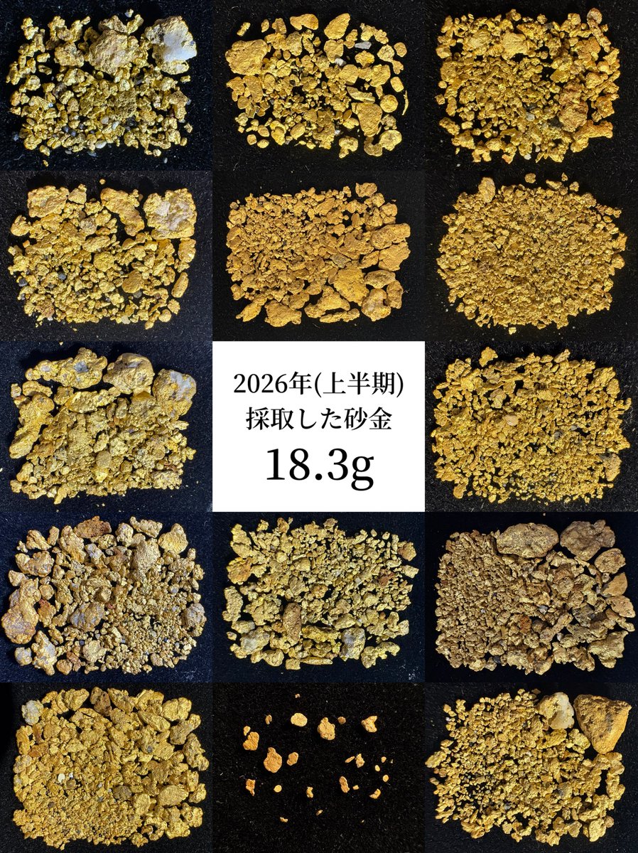 上半期採取した砂金【18.3g】