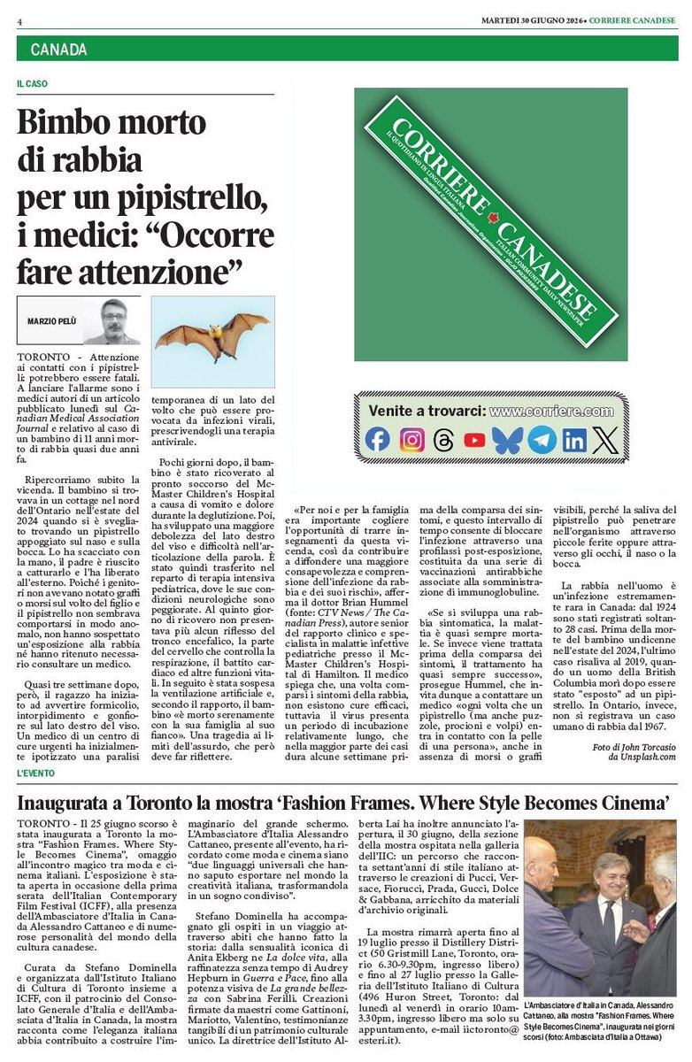 HenryInTheSpace's tweet photo. Il contatto con i #pipistrelli può essere letale: l'avvertimento dei medici dopo la morte di un bambino per #rabbia - il mio articolo oggi sul @CCanadese

- online: https://t.co/X1wsIB0RKh

@CMAJ #JAMC https://t.co/GVbYknm1CV