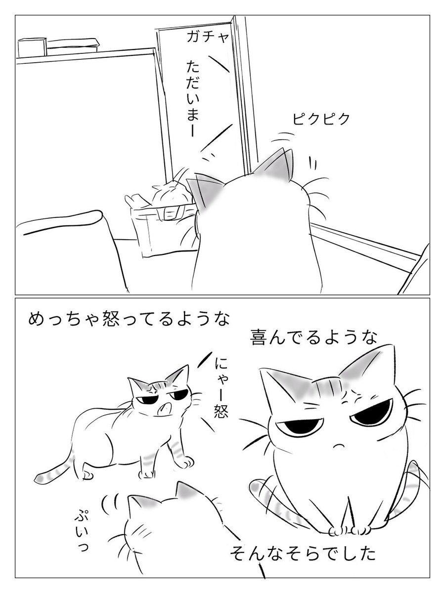 gM6mF6Ye8orX3u4's tweet photo. キャンプとそら③　#こわがりねこのそら　#ねこ　#ねこかつ　#保護猫　#cat #猫のいる暮らし   #漫画がよめるハッシュタグ　#マンガ　#2026年　#6月　#ねこカフェ　#キャット　#キャンプ https://t.co/rc1U2iqEZn