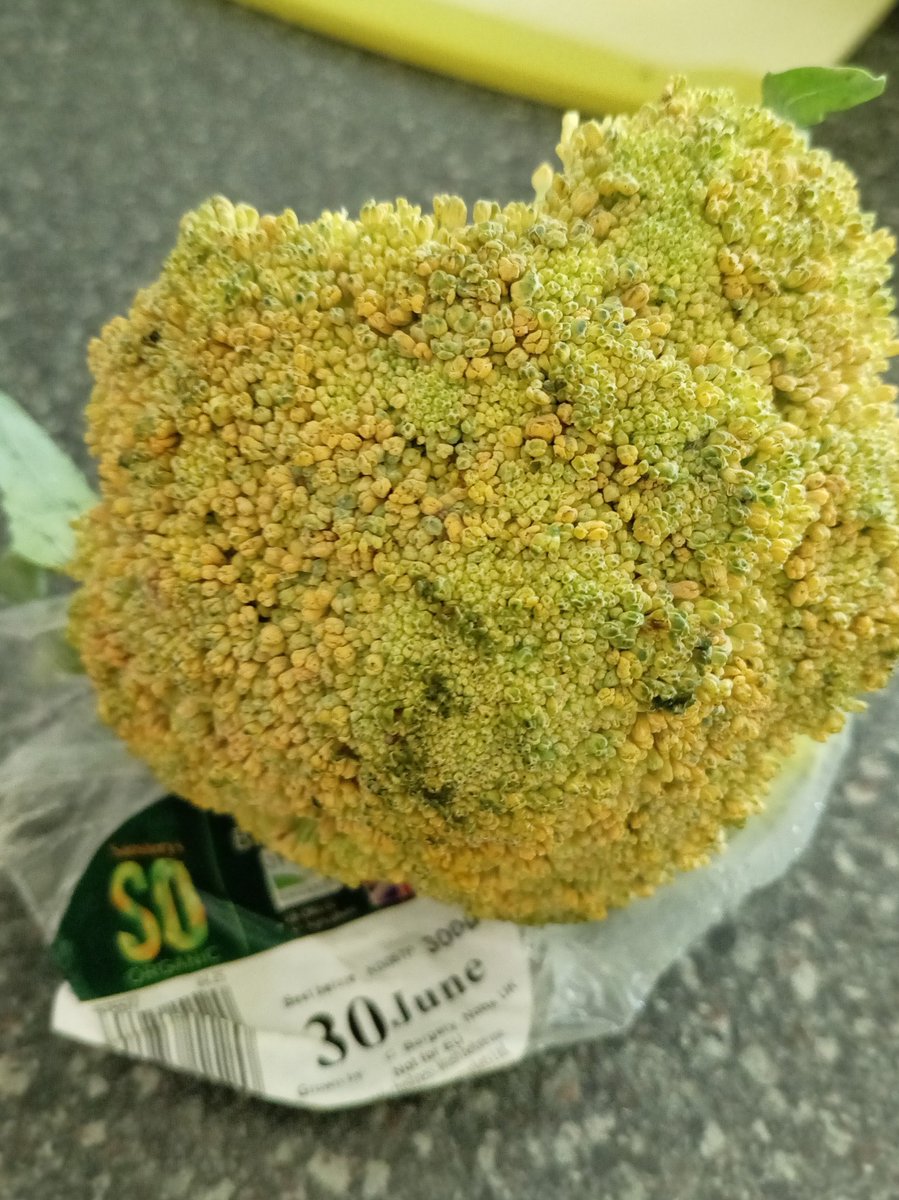 MichelleHockle2's tweet photo. Oh really @sainsburys You can do better than this. Photograph taken two days ago. Note the broccoli shouldn't have expired until today. Fresh vegetables??? https://t.co/alHrJ4dIf9