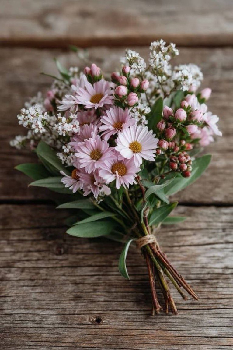 Floral Vibes 🌺✨ tweet media