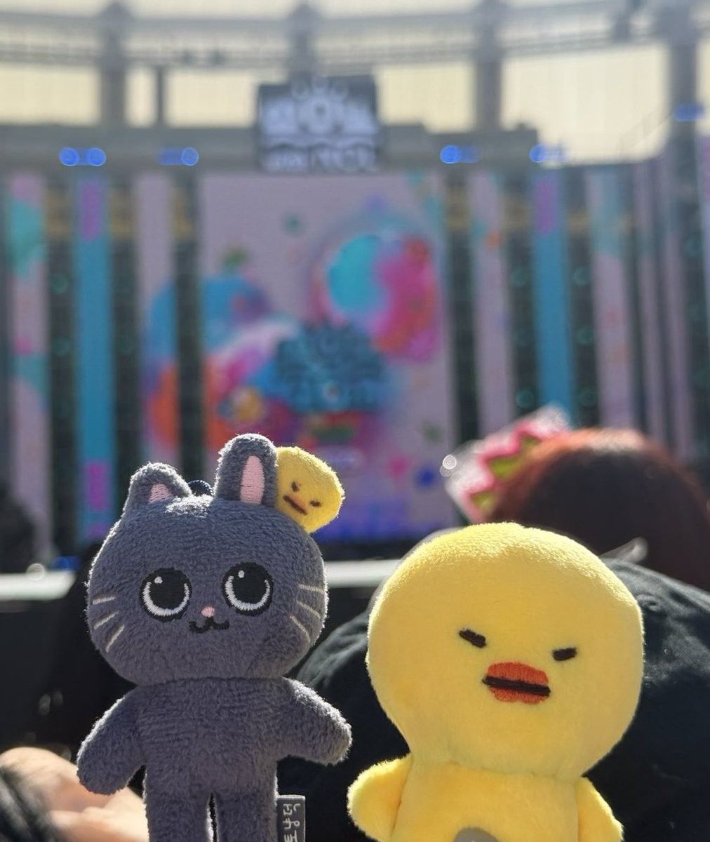 mae2decorn's tweet photo. 부산 또..오꾸마? 🤣 https://t.co/7P3cLlCHmK
