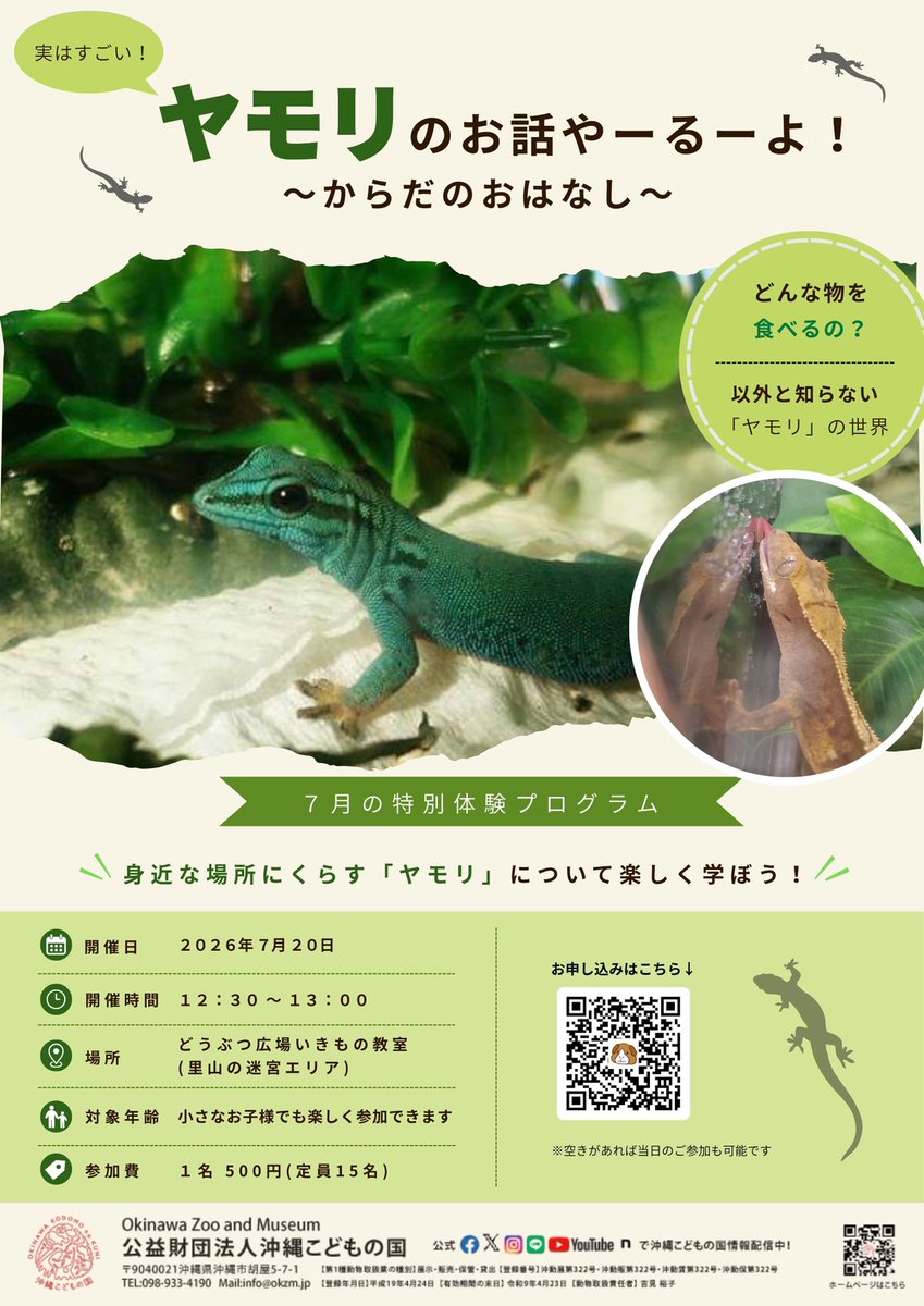 OkinawaZoo's tweet photo. 参加者募集中！
『どうぶつ広場特別ワークショップ「ヤモリのお話しやーるーよ！～からだのおはなし～」』

私たちの身近な生きものの一つであるヤモリ。今回は、そんなヤモリの体のつくりや能力など、「実はすごい！」ヤモリの秘密をご紹介します。ヤモリが大好きな方はもちろん、「興味はあるけれど、よく知らない」という方も大歓迎です。身近なヤモリの新たな魅力を一緒に発見してみませんか？

○開催日時：2026年7月20日（月祝）12:30～13:00
○開催場所：どうぶつ広場（里山の迷宮エリア）
○参加料金：500円
○定員：15名
○お申込み⇒https://t.co/GVZKNXbmkV