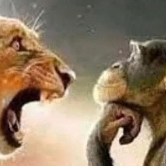 Dexterightt's tweet photo. Ronaldonun messinin oynadığı bütün liglere,bütün takımlara,aldığı bütün ödüllere,kazandığı bütün kupalara sallamasına rağmen messi babanın ronaldoyu s1kıne takmamasının klaslık direkt şu ya. https://t.co/AF0oYZ0L6n