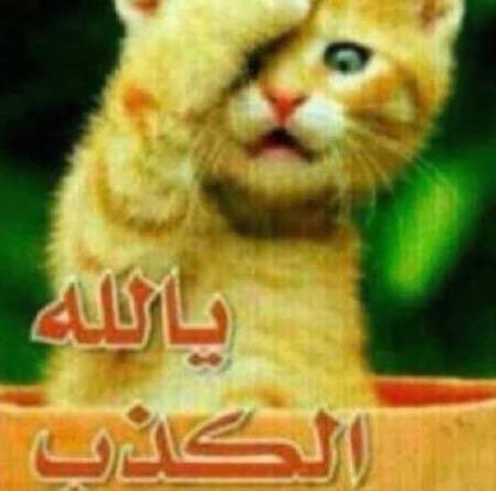 Leelo_15's tweet photo. الاولى https://t.co/ujgvWescU6