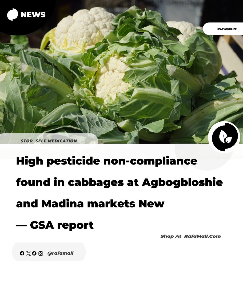 rafamall's tweet photo. Your cabbage might be toxic.
New GSA study: All cabbage samples from Agbogbloshie &amp; Madina markets failed pesticide safety tests.
☠️ 8 pesticides found
🚫 Some banned elsewhere
🧠 Health risks: neurological, hormonal, cancer
Wash your veggies. Support agroecology. Stay safe. 🙏🏾 https://t.co/7sF9foFphO