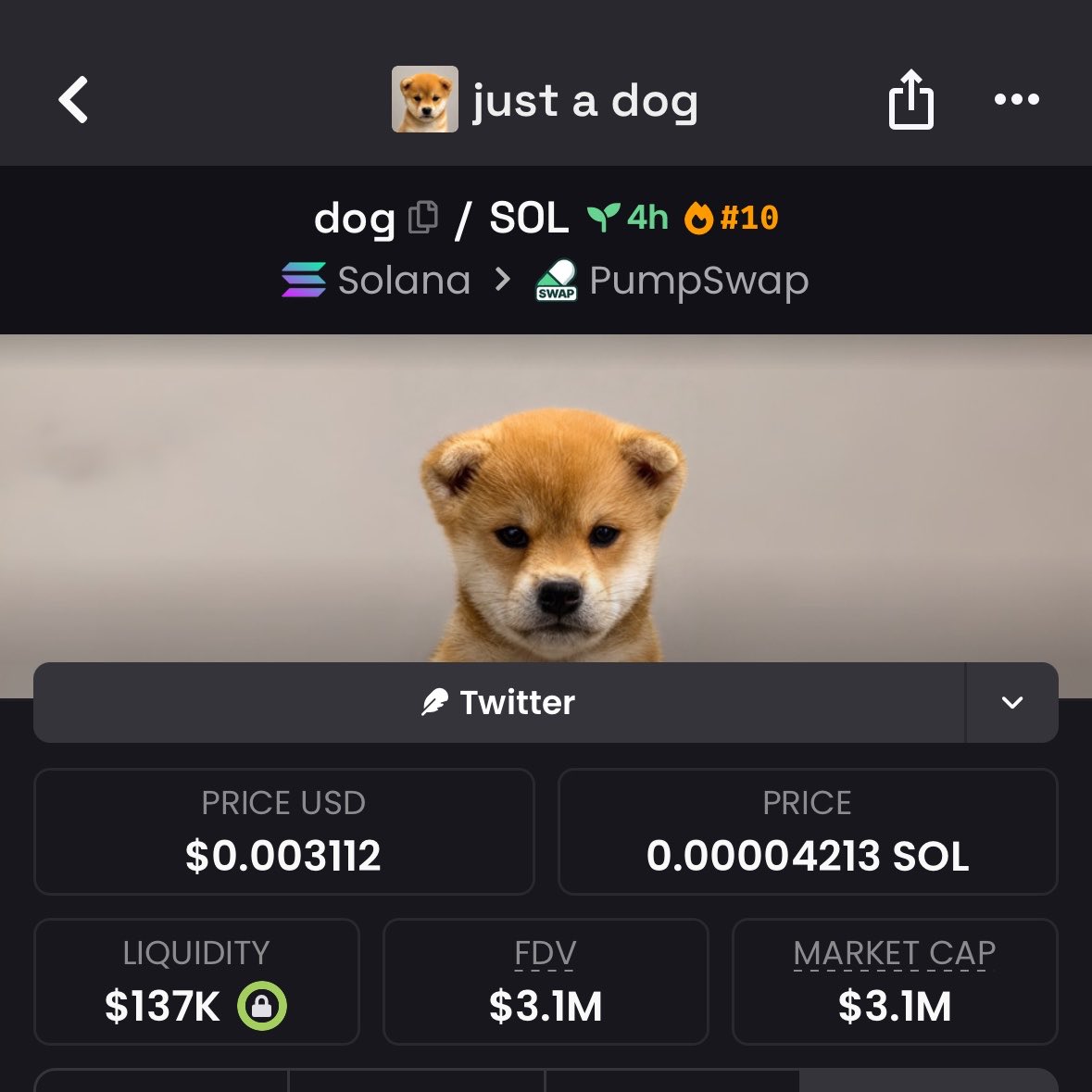 paquyy's tweet photo. Wow, this is holding strong at a $3M market cap

Might be a good entry

Only 20% of the supply is circulating, so the real market cap is around $600K?

Just a $DOG 

9gAVAtdnsrniW3GCwsvDeRPf5eJDjtT9S5bu1j7tpump https://t.co/h1wcUlJIHv