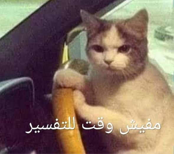 S0li8's tweet photo. تابعوني ع الحساب ده يا زملكاوية 🤍🏹
@meinai0710 https://t.co/qxi3z2AtdE