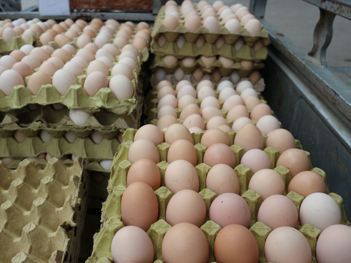 manikanta_x_'s tweet photo. Stock up on fresh, crisp veggies u0026 farm-fresh eggs for this week’s meals—local haul = better taste! https://t.co/d7P1avFEyP