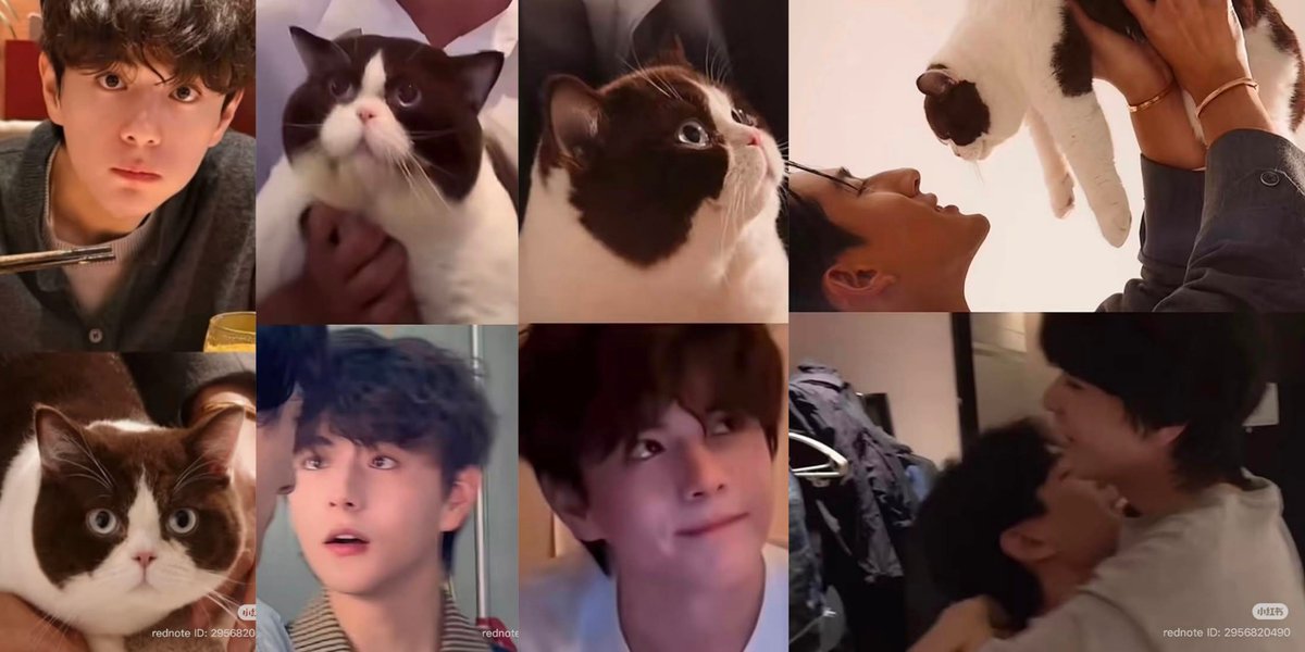 Pookiegansta's tweet photo. Elio 🤝 Koda
Ayden Sng's beloved cats... 

#Aylio https://t.co/sOTfz14omS