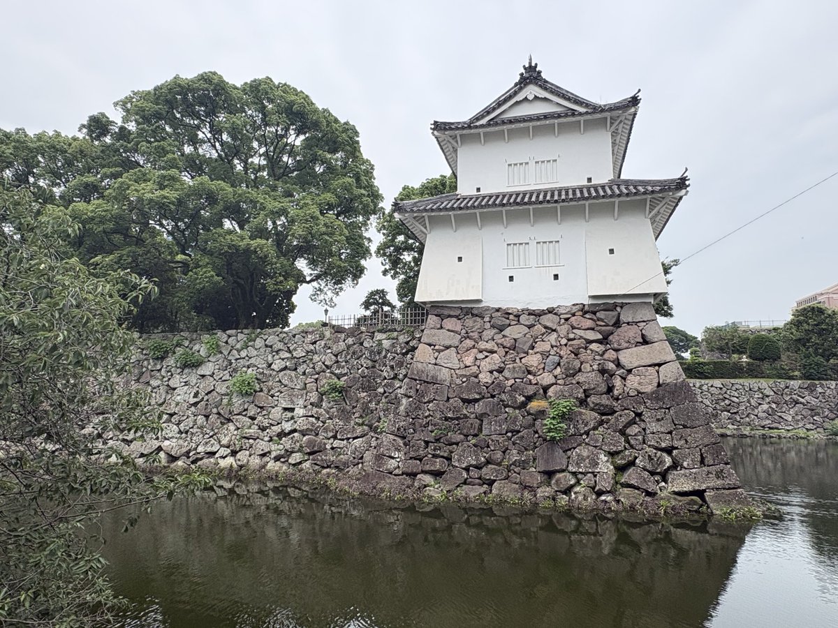 kusunoki_log's tweet photo. 大分県大分市「府内城（大分城）」🏯

大分駅から徒歩圏内にある、江戸時代の面影を残す歴史ある城跡。

関ヶ原の戦いの後、福原直高が築城を始め、その後、竹中半兵衛の従弟として知られる竹中重利によって現在の城郭の基礎が築かれました。

かつては海に面した「海城」だったようです🌳 https://t.co/SxDdW5rOt2