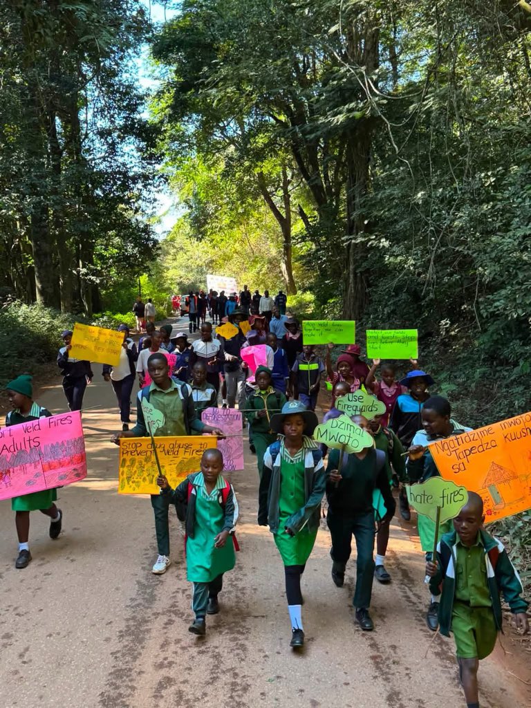 forestrycom1's tweet photo. 📍Chirinda 

The Forestry Commission joined Allied Timbers Zimbabwe ATZ and TimCon at the Chirinda Veld Fire Awareness Campaign to raise awareness about the devastating impact of veld fires.

Preventing veld fires is everyone’s responsibility. Together, we can protect our forests by avoiding activities that may cause uncontrolled fires and by reporting fire outbreaks promptly.

Ngatichengetedzei masango edu. Ngatisapisa magwasha edu!Together, we can stop veld fires before they even start. 🌳

#VeldFireAwareness #ProtectOurForests #StopVeldFires #EnvironmentalProtection
