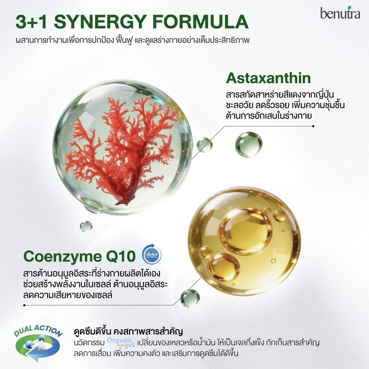 benutraofficial's tweet photo. เปิดงานวิจัย 3 กลไกต้านอนุมูลอิสระ 
Tetra SOD - Astaxanthin - Coenzyme Q10 และนวัตกรรม Organogel ดูดซึมดีขึ้นคงสภาพสารสำคัญ

TETRA SOD PRO รวม 3 พลังสารสกัดธรรมชาติ เพื่อการต้านอนุมูลอิสระและชะลอวัยอย่างเต็มประสิทธิภาพ 

- Astaxanthin
สารสกัดสาหร่ายสีแดงจากญี่ปุ่น
ช่วยดูแลผิว ลดริ้วรอย พร้อมปกป้องดวงตาจากรังสี UV

- Tetra SOD
สารสกัดสาหร่ายสีเขียวจากสเปน
ให้ค่าต้านอนุมูลอิสระสูง ช่วยปกป้องเซลล์และชะลอความเสื่อมลึกระดับเซลล์

- Coenzyme Q10
สารต้านอนุมูลอิสระที่ร่างกายผลิตได้เอง
ช่วยเสริมพลังงานให้เซลล์ พร้อมดูแลผิวให้ดูเรียบเนียน อ่อนเยาว์

อัปเกรดด้วย Organogel Innovation
ช่วยคงสภาพสารสำคัญ และเสริมการดูดซึมได้ดียิ่งขึ้น

3+1 Synergy Formula
เพื่อการปกป้อง ฟื้นฟู และดูแลร่างกายในทุกวัน