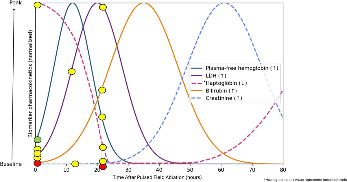 KeepInRhythm's tweet photo. ❗️Attempting to establish common ground for discussing pulsed field ablation-induced hemolysis

➡️ State of the Art Review just published in #JACCEP @JACCJournals @shivkumarmd @Ed_Gerst @kcole_12 

🔗 https://t.co/MLnP9MO1kF https://t.co/477VKCehpW