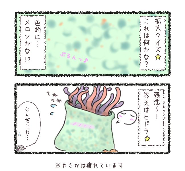 yasakaro's tweet photo. @Arusan_epk ぷるん…めろんっ…？ https://t.co/nF5Hvwn4mF
