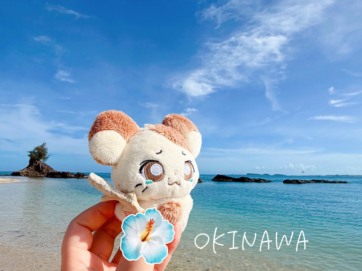 found_a_diamond's tweet photo. 家族旅行✈️🌺🍍
天気よくて海もプールも堪能🩵 https://t.co/chvzmAidVS