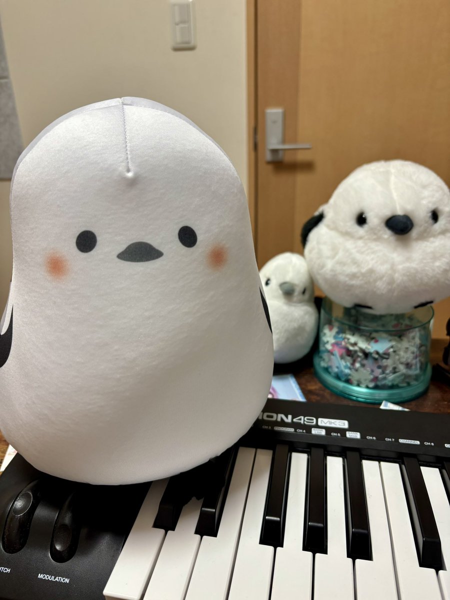 PONcots_'s tweet photo. https://t.co/2OqgLw16Eh