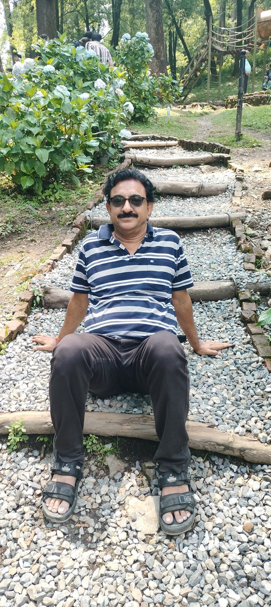 harishicar's tweet photo. @ecohuts Eco Park @dhanaulti https://t.co/4AIhNi4ADT