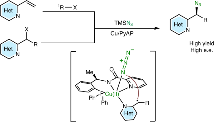 NatureCatalysis's tweet photo. Unlocking the Cu-catalysed asymmetric radical azidation of N-heterobenzylic sites through rational ligand design https://t.co/DRKWQcbJWN https://t.co/Exhr490PPz