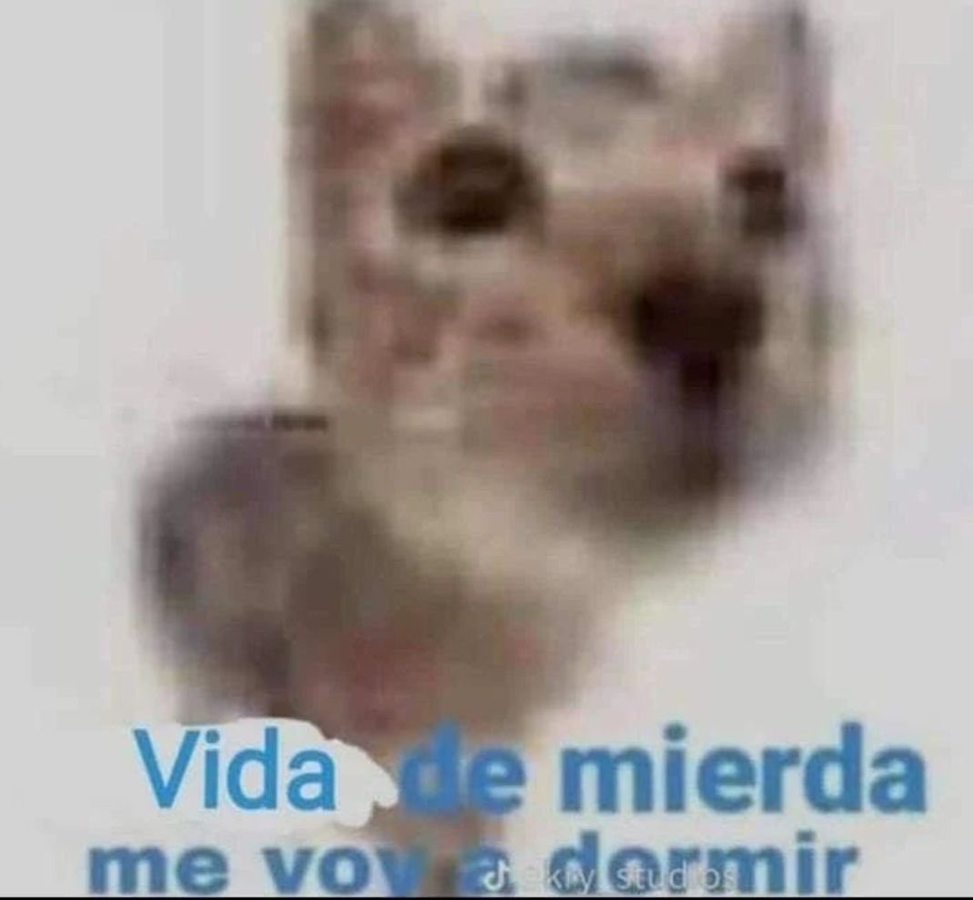 shokoisdrunkk's tweet photo. Yo al más mínimo problema https://t.co/CzEhjwSg21