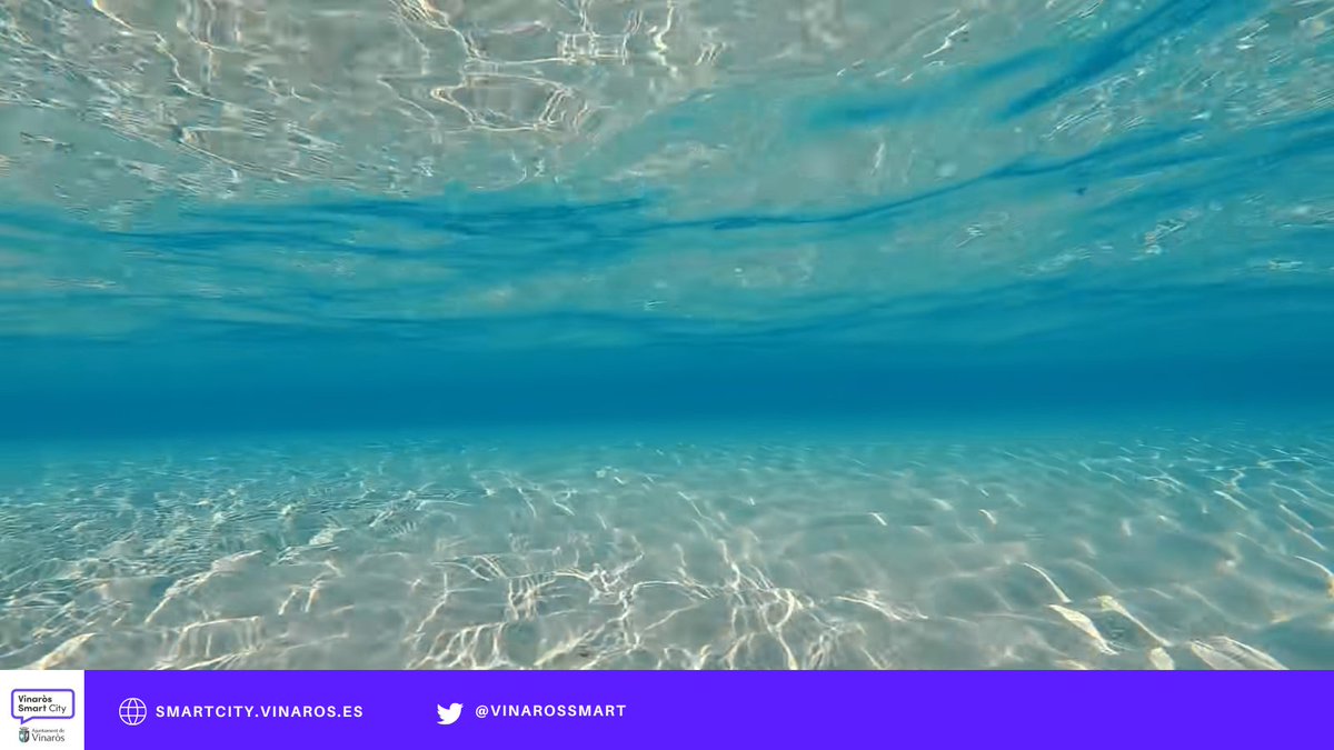 VinarosSmart's tweet photo. 🌊 La tecnologia també ajuda a cuidar la mar.

La boia intel·ligent instal·lada davant del litoral de #Vinaròs permet monitoritzar la qualitat de l'aigua i disposar d'informació útil per protegir el nostre entorn marí.

#SmartCityVinaròs #PlatgesIntel·ligents #Sostenibilitat https://t.co/ztfWRhmXCX