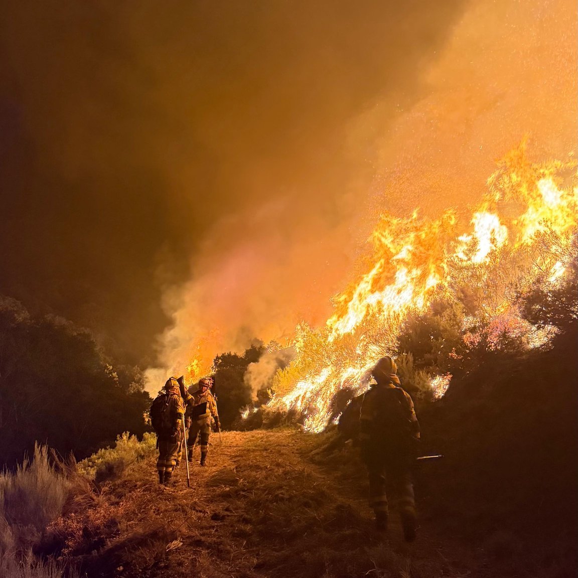mitecogob's tweet photo. Las BRIF del MITECO continúan apoyando a las CCAA en las labores de extinción de los incendios forestales registrados estos días 👨‍🚒 https://t.co/GBZZUZR8y9
