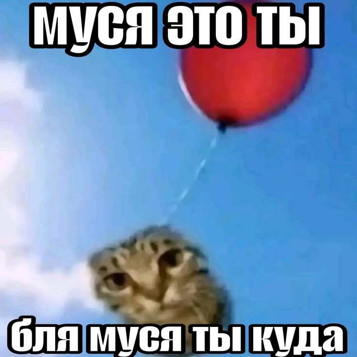 Honeyboll's tweet photo. захожу в лифт и нажимаю кнопку "шесть", лифт, озвучивающий нажатый этаж, произносит "одиннадцатый этаж".
в моем доме нет одиннадцатого этажа.

я: https://t.co/bT3q3nf4Nu