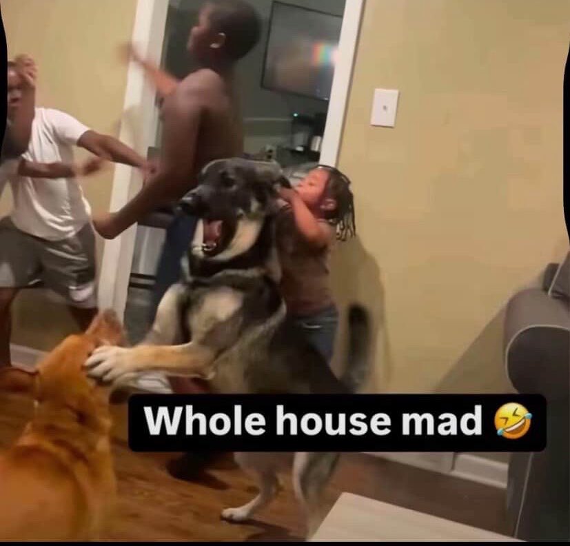 ilyilyily00's tweet photo. whole house mad https://t.co/mg2ce7cZ42