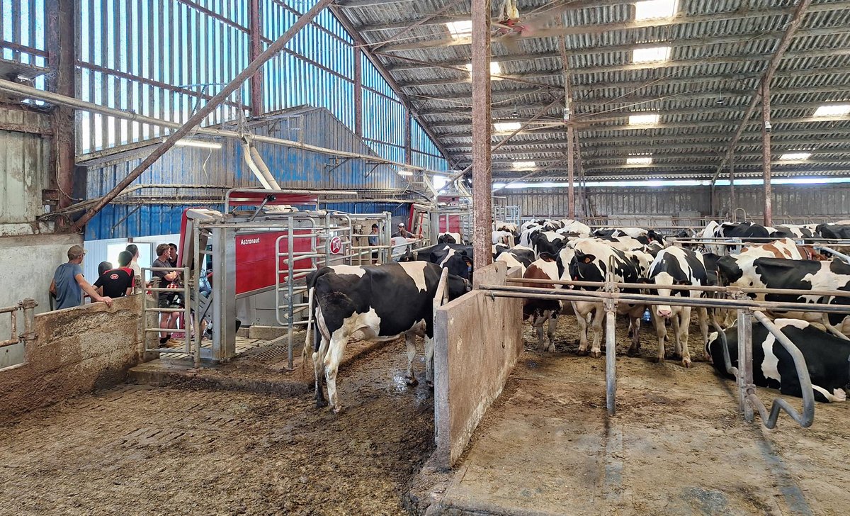 lurberri's tweet photo. 📷 Retour en images sur la journée portes ouvertes Lely Montardon - Lur Élevage au GAEC Poulot à Gasbaston du 25 juin !
180 visiteurs ont pu découvrir par des démonstrations les installations récentes en robots de traite et les solutions innovantes pour l’élevage laitier. 🐄🥛 https://t.co/YY7jqNxREn