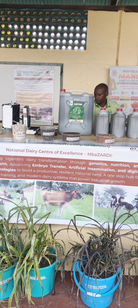 mbazardi's tweet photo. Find us in the Naro village at the Source of the Nile, Jinja Agricultural Show! https://t.co/mjHfMCfaas