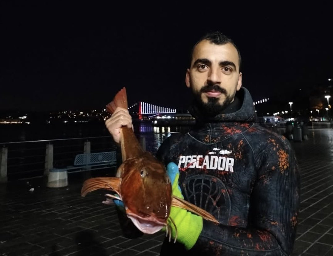 aykiri's tweet photo. Profesyonel Dalgıç Mehmet Sıddık Bilge:

Deniz Göktaş bana ağır hakaret etti!

Professional 3 yıldız belgesine sahip dalgıcım! Sahnesinde “S*ktiğimin dalgıçları” diye hakaret ediyor!

İnsanlar hakareti alkışlıyor, gülüyor. Biz eleştirince linç yiyoruz. Onlar bize küfür ederken devrimci oluyor.

Hayatı sosyete pazarında geçmiş Kadıköy çocuğu, yaşadıklarımın yüzde birini yaşamamış. Bizim hayatımız örgütlerle, çetelerle mücadeleyle geçti. Hayatı boyunca ezber yapıp okumaktan başka ne yapmış?

Anarşist devlet memurunun şımarık çocuğu: İşte Türkiye’deki devrimcilerin özeti ve çelişkisi!

Avukat tutsam, dava etsem ne olur acaba?

Deniz Göktaş özür dileyecek misin?