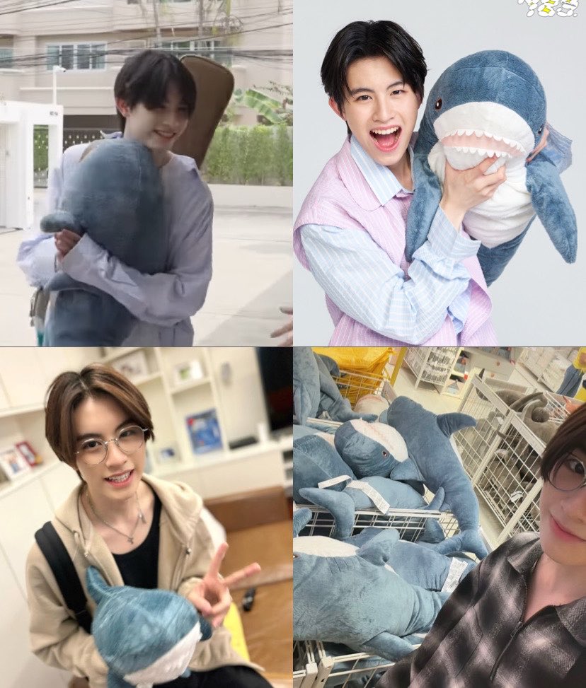 aumaimxxiiiv_'s tweet photo. อยู่กับเอเอตั้งแต่ยังไม่เริ่มเดบิ้ว เข้าบ้านวันแรกก็พาไปด้วย เพราะพี่ฉลามคือเพื่อนซี้ของหนู 🥺🩵🦈 https://t.co/MuEPk2Wdlt